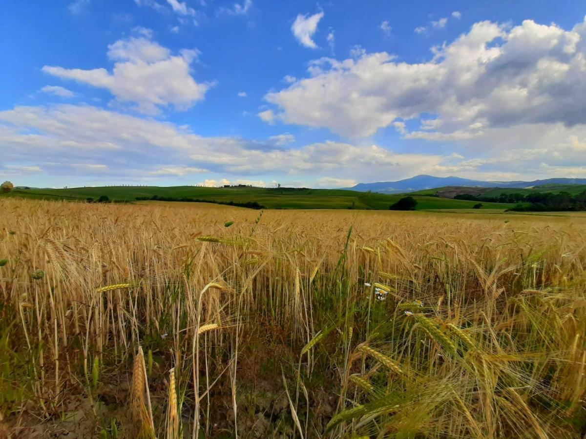La Corte Antica Pienza Dış mekan fotoğraf