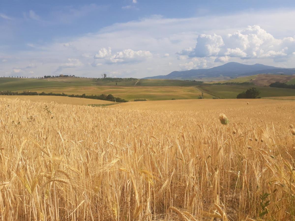 La Corte Antica Pienza Dış mekan fotoğraf